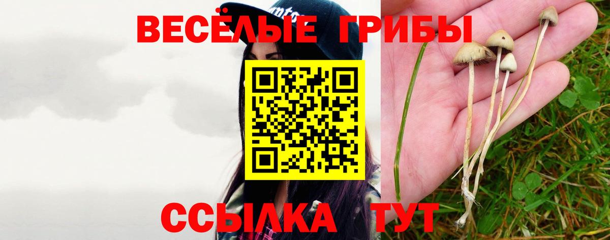 Галлюциногенные грибы прущие грибы Нижнекамск